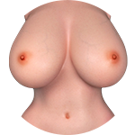 Echte Haut (Standard-mäßig)